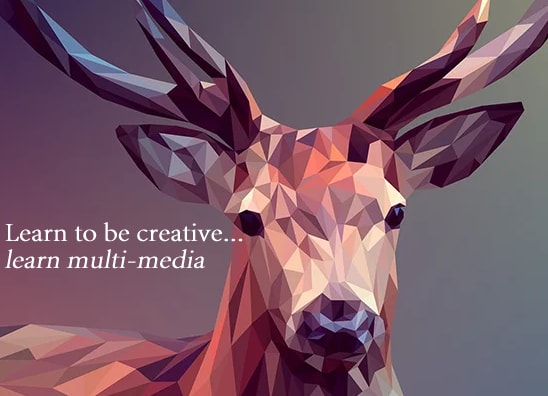 Learn multimedia in Abuja Nigeria